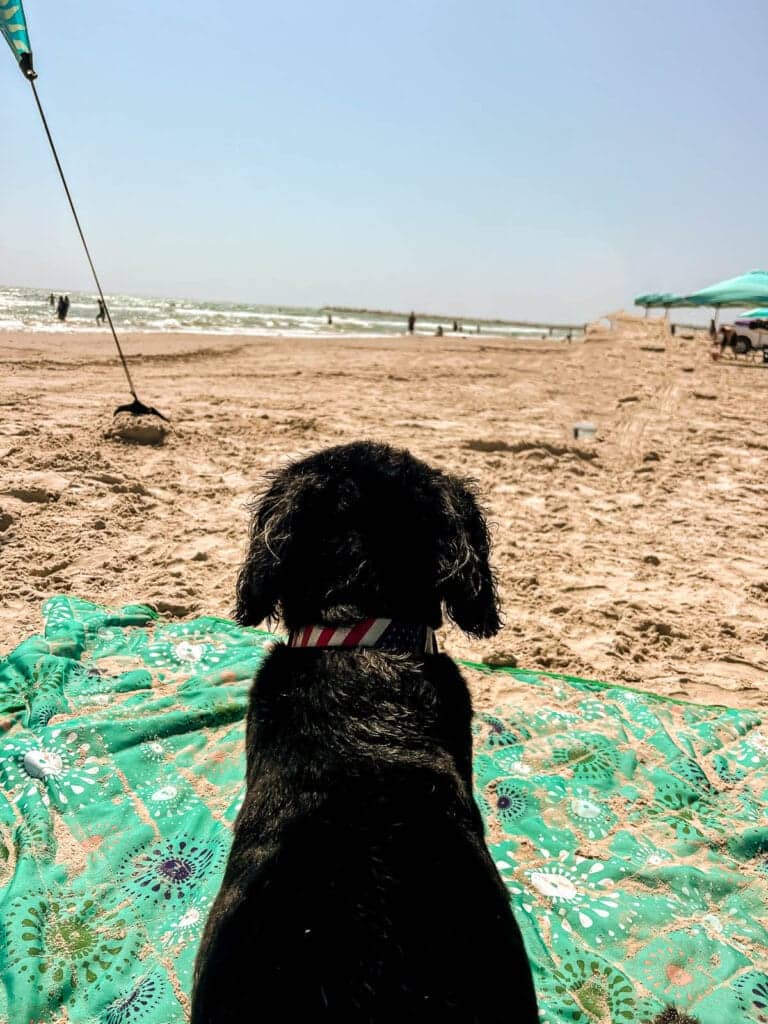 Corpus Christi beach